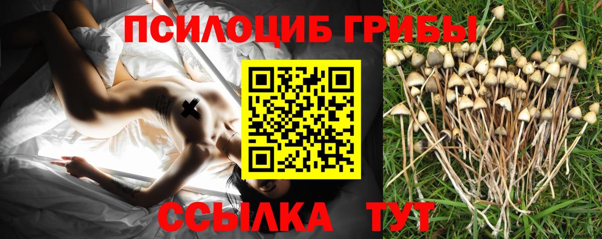 Галлюциногенные грибы Magic Shrooms Артёмовский