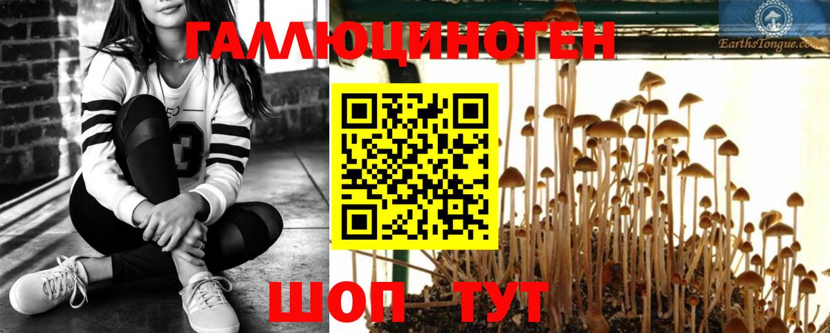 Галлюциногенные грибы прущие грибы  Вход с VPN  Артёмовский 
